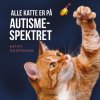 Alle katte er p autismespektret